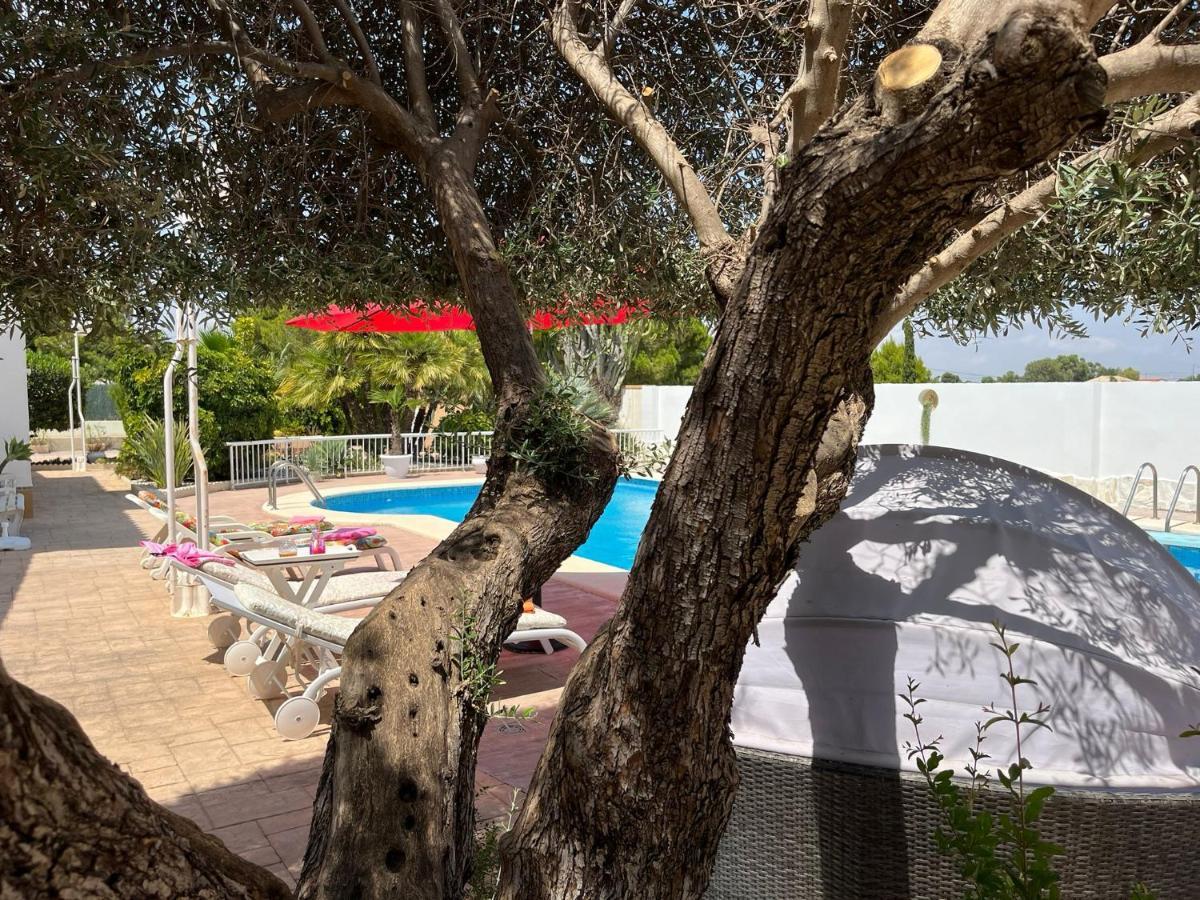 Romantico Wellness Casa Veronica เอลเช ภายนอก รูปภาพ