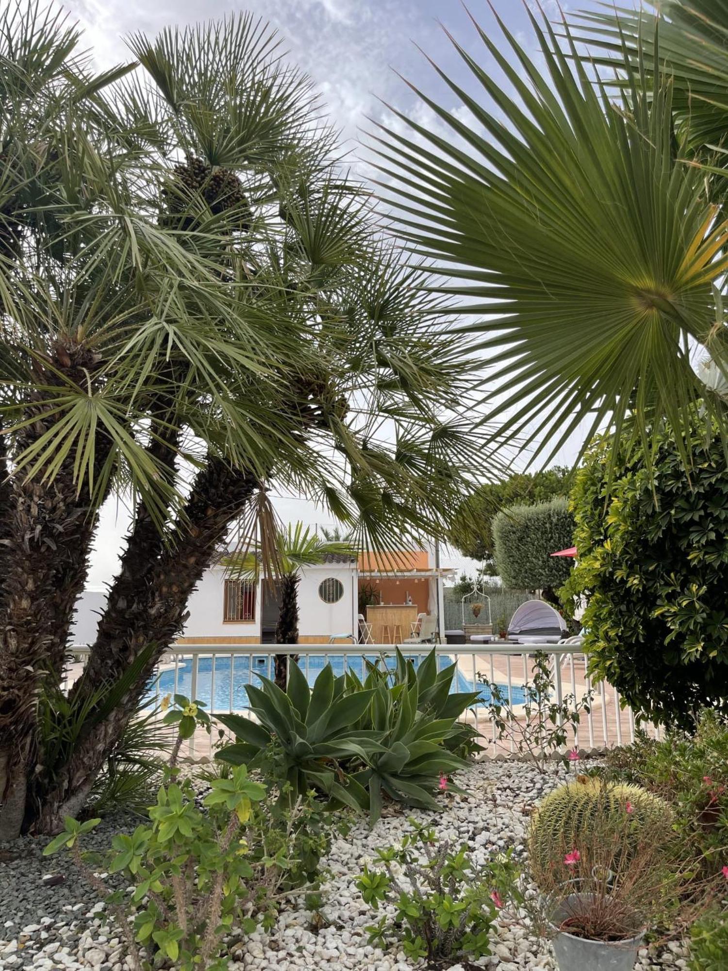 Romantico Wellness Casa Veronica เอลเช ภายนอก รูปภาพ